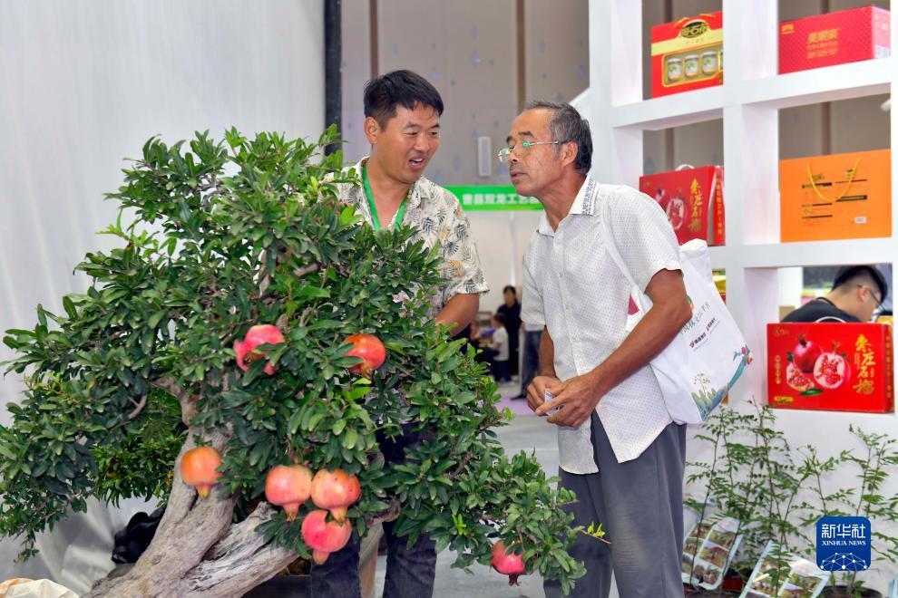 云顶娱乐每天送6元